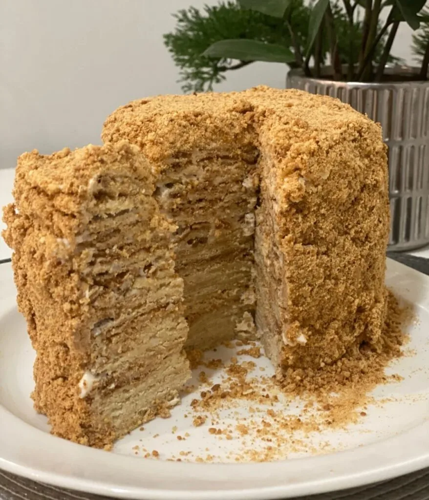 Layered Russian Medovik honey cake with crumb coating on a white plate.