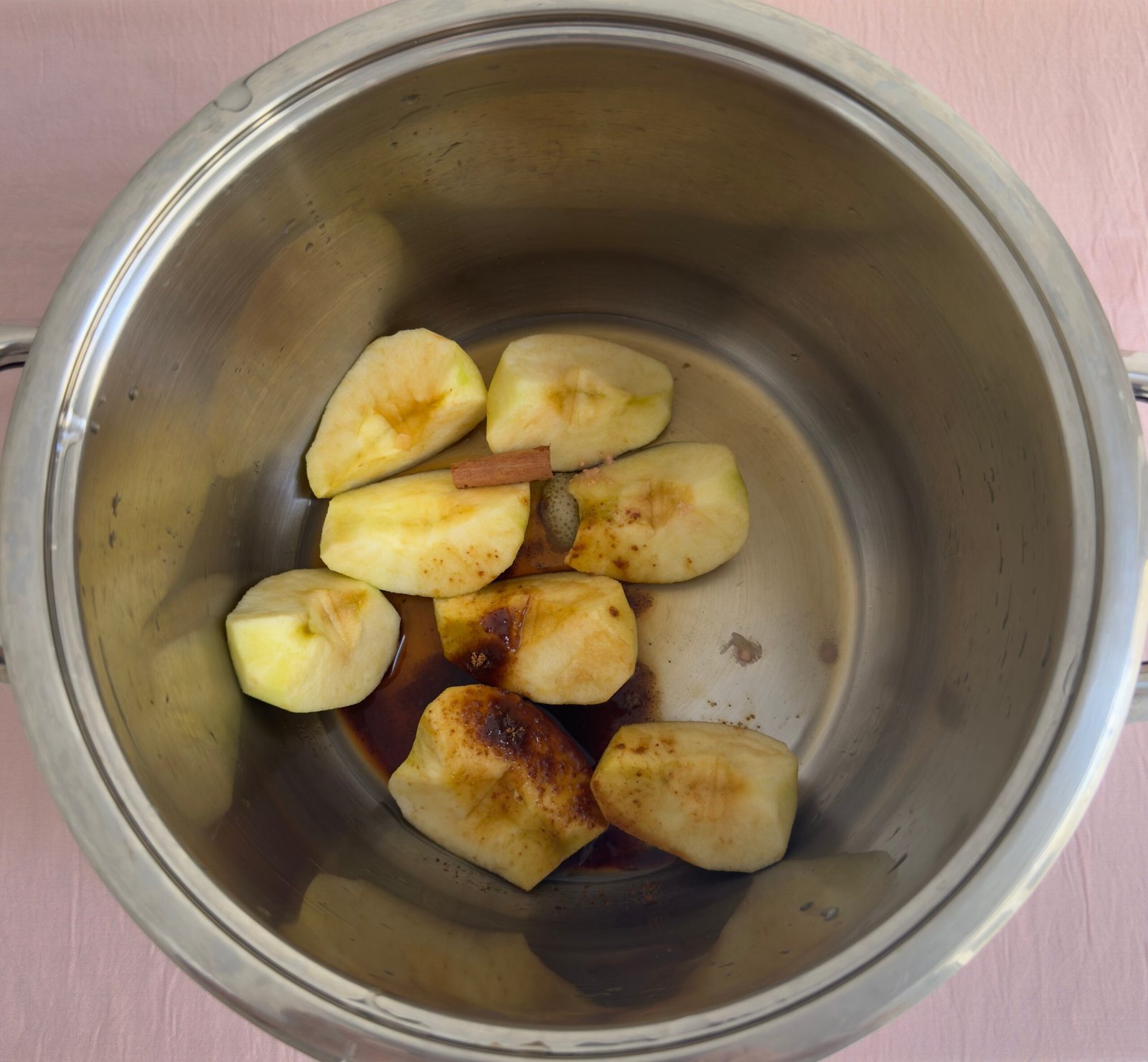 Apple quarters, Ceylon cinnamon stick, coconut sugar, and lemon juice combined in a stainless steel pot before cooking