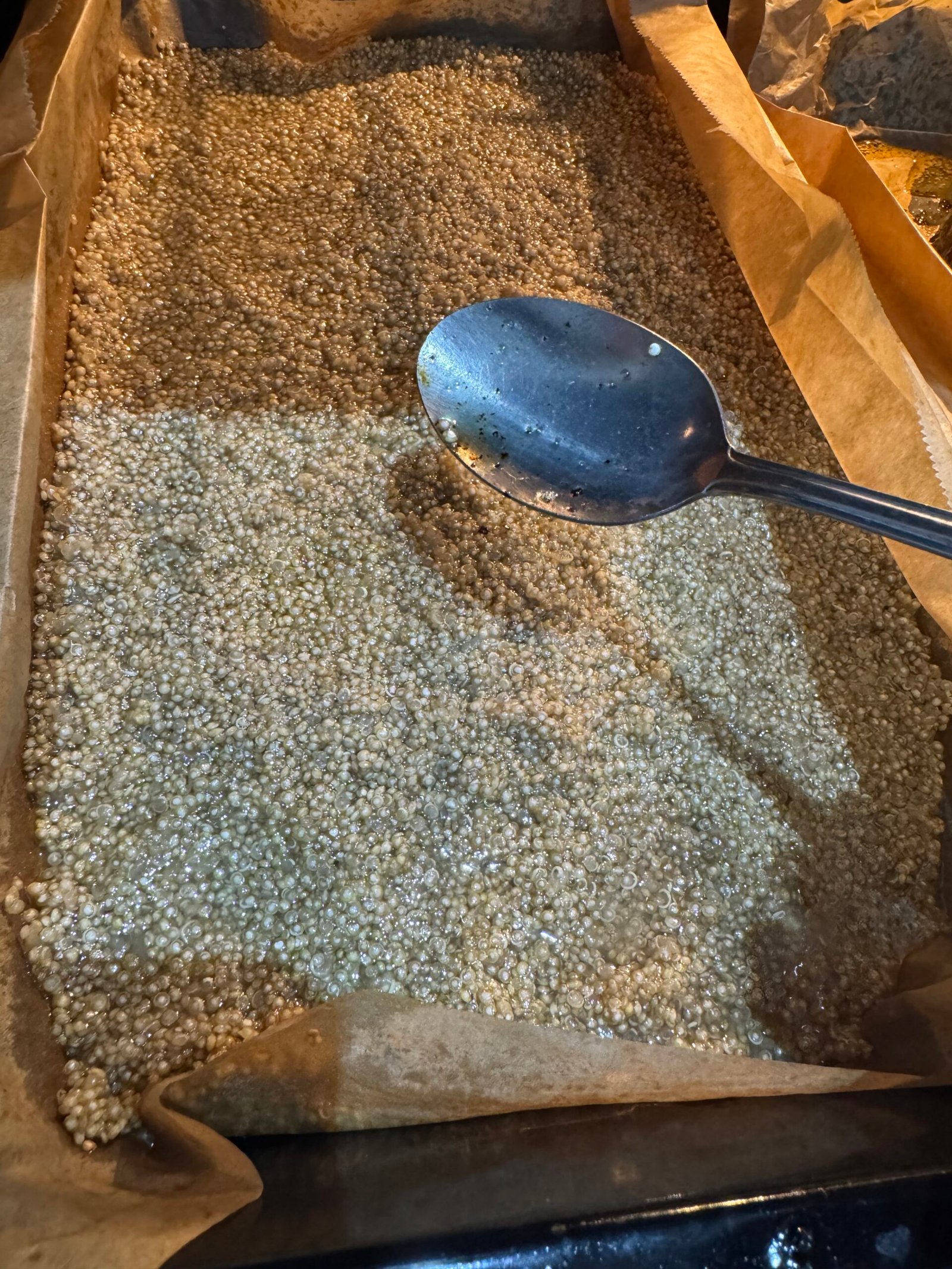 Uncooked quinoa in oven