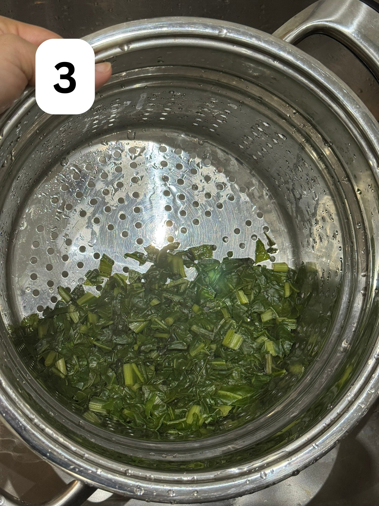 Blanched spinach drained in a steel colander after being shocked in ice water.